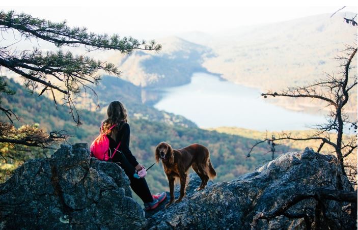 Smart Financial Management in Everyday Life: Saving on Recreation, Food, and Transportation