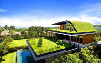 The Emergence of Sustainable and Efficient Housing Designs Certified by EDGE