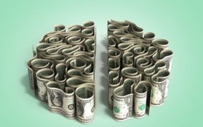 Investment Algorithms and Portfolio Management Platforms: Empowering Advanced Financial Decision-Making