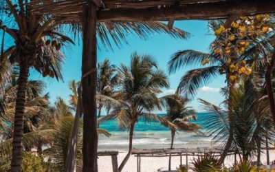 As we move into 2025: A Guide for Canadian Investors Seeking Property in Mexico